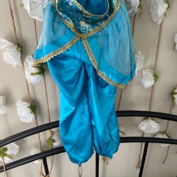 Jasmine Disney costume - Picture 2 of 6